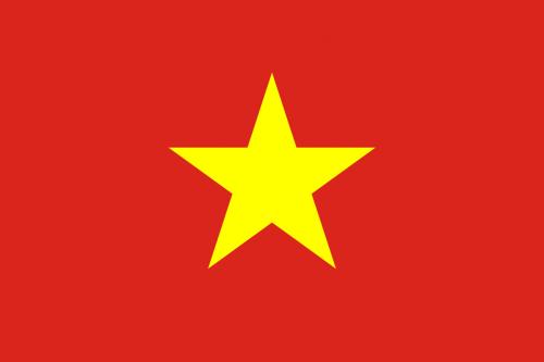 Vietnam's flag